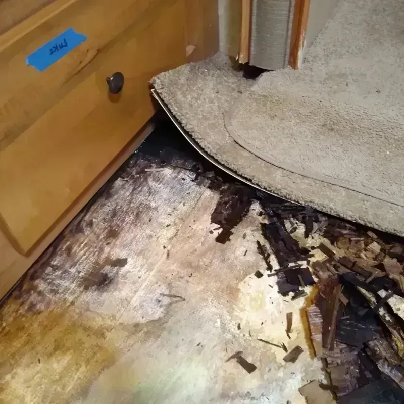 Wood Floor Water Damage in West Orange, NJ